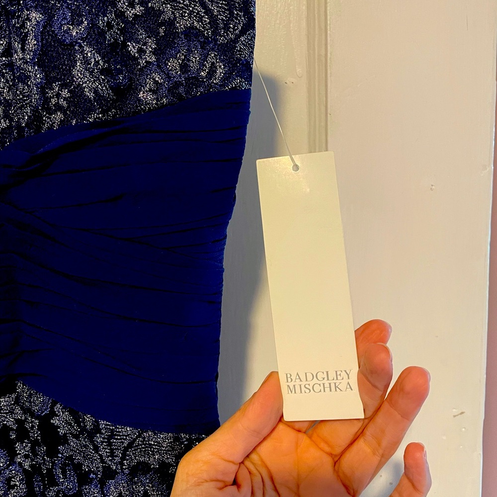 Badgley Mischka strapless evening gown. Never worn